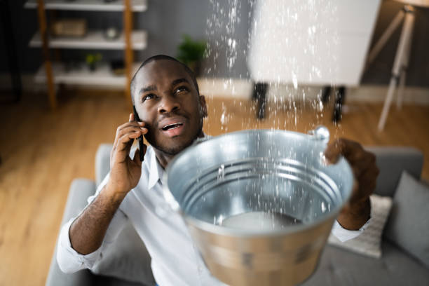 Best Basement water damage restoration  in Hutchins, TX