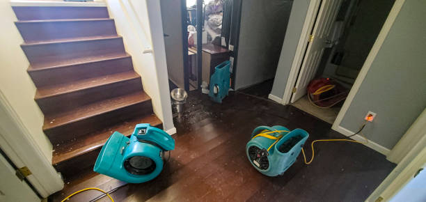 Best Water damage cleanup near me  in Hutchins, TX