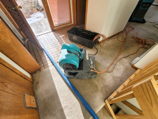 Reliable Hutchins, TX Water damage restoration Solutions