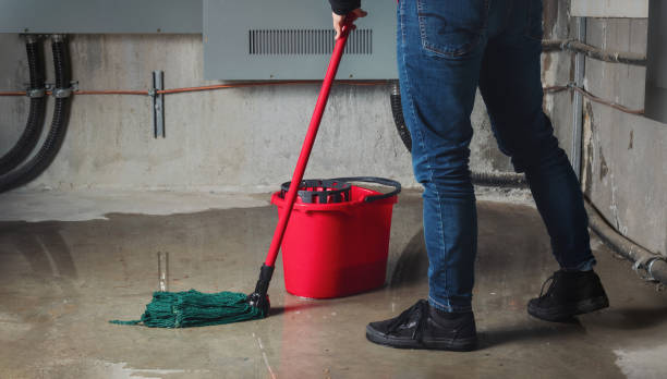 Best 24/7 water damage repair  in Hutchins, TX