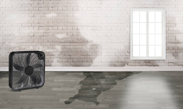 24/7 water damage repair in Hutchins, TX