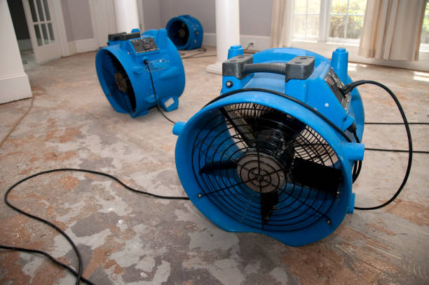 Best Carpet water damage restoration  in Hutchins, TX