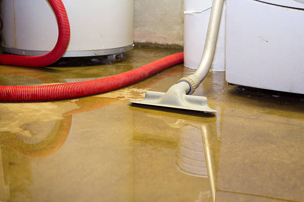 Best Water damage restoration near me  in Hutchins, TX