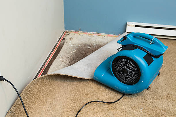 Best Water damage restoration process  in Hutchins, TX